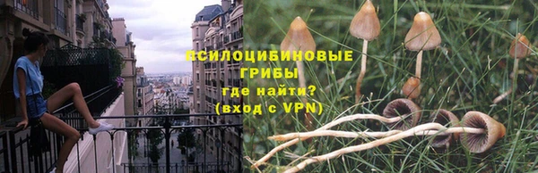 трава Абдулино