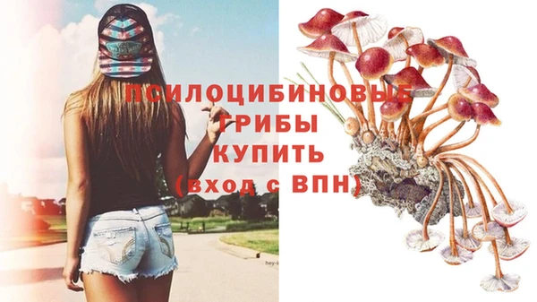 трава Абдулино