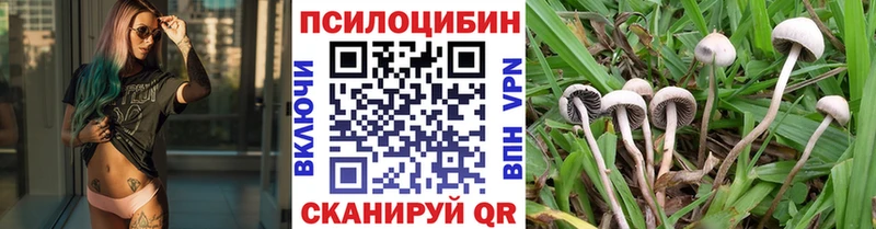 Псилоцибиновые грибы ЛСД  Щёкино 